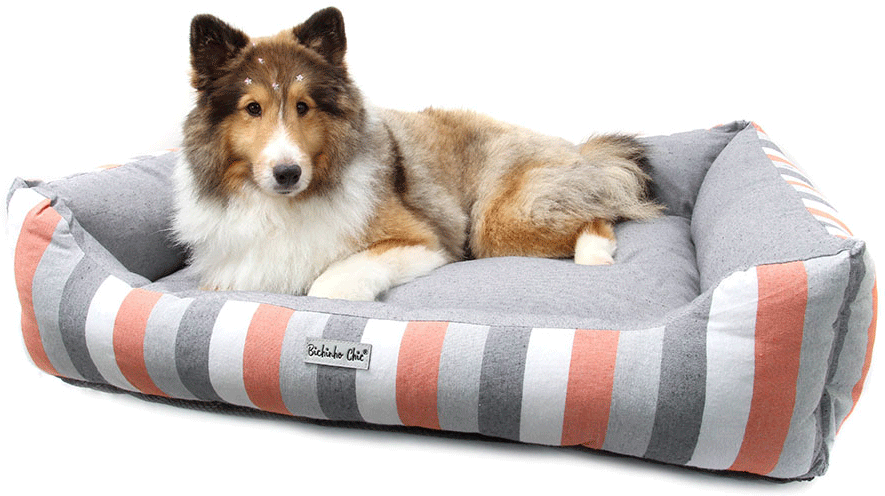 Cama Retangular Bichinho Chic Eco Laranja para Cães e Gatos - Tam. EGG