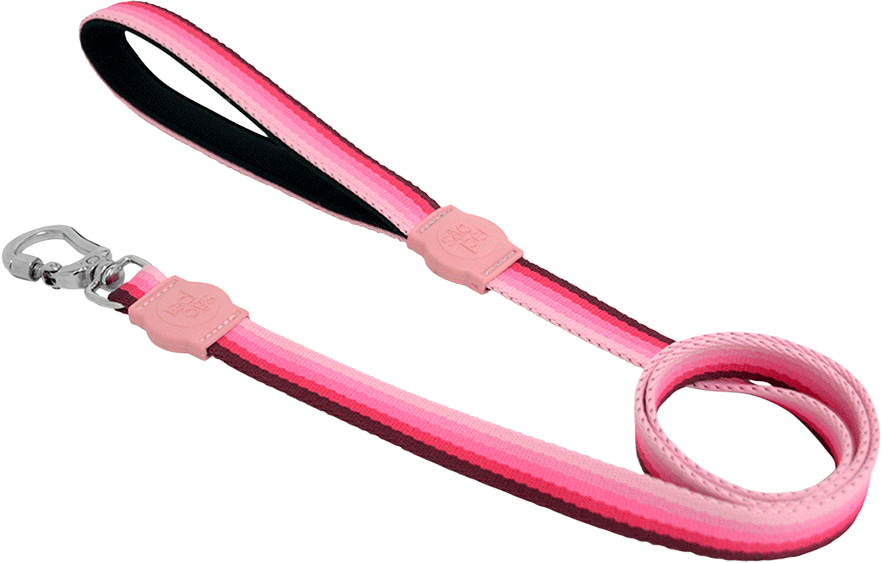 Guia São Pet Degradê Rosa para Cães e Gatos - Tam. G