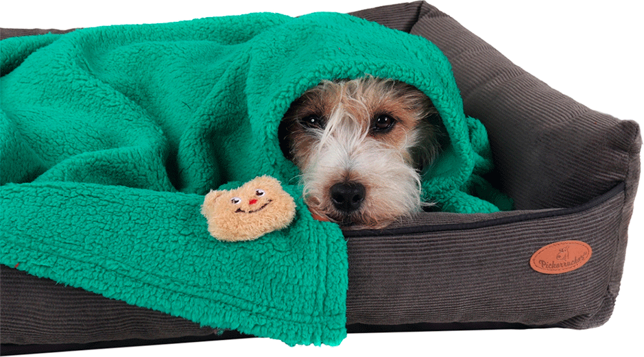 Cobertor Naninha Pickorruchos Militar para Cães e Gatos - Tam. Único