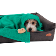 Cobertor Naninha Pickorruchos Militar para Cães e Gatos - Tam. Único