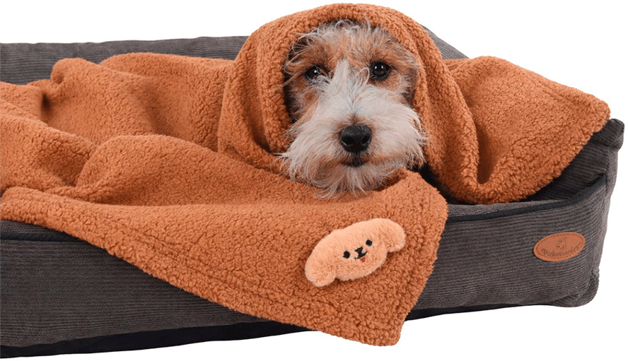 Cobertor Naninha Pickorruchos Avelã para Cães e Gatos - Tam. Único