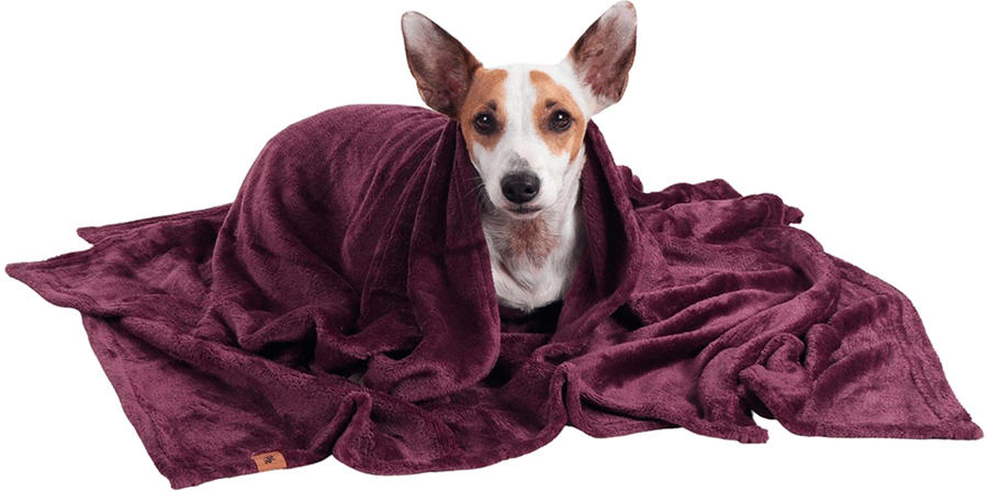 Cobertor Pickorruchos Ultrasoft Ameixa para Cães e Gatos - Tam. Único