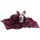 Cobertor Pickorruchos Ultrasoft Ameixa para Cães e Gatos