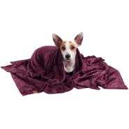 Cobertor Pickorruchos Ultrasoft Ameixa para Cães e Gatos - Tam. Único