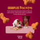 Biscoito GranPlus para Cães Filhotes Sabor Leite