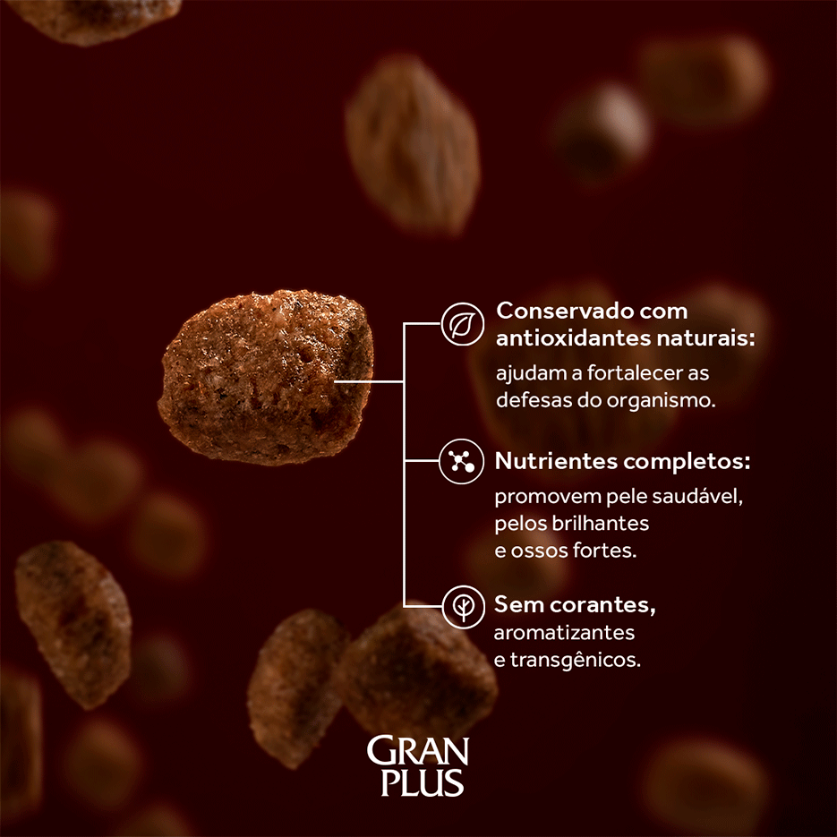 Ração Seca GranPlus Gourmet Ovelha & Arroz para Cães Adultos Raças Médias e Grandes - 15Kg