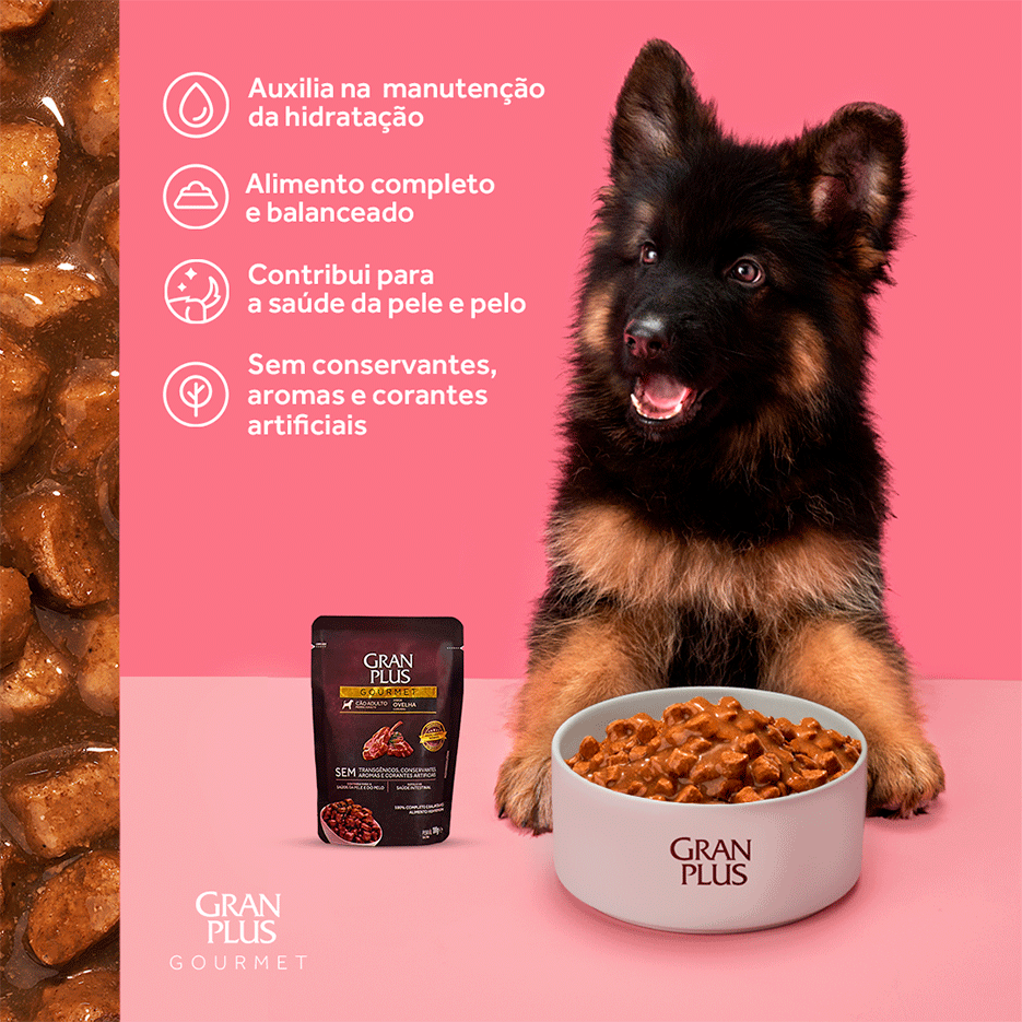 Ração Úmida GranPlus Gourmet Sachê Ovelha para Cães Adultos - 100 g