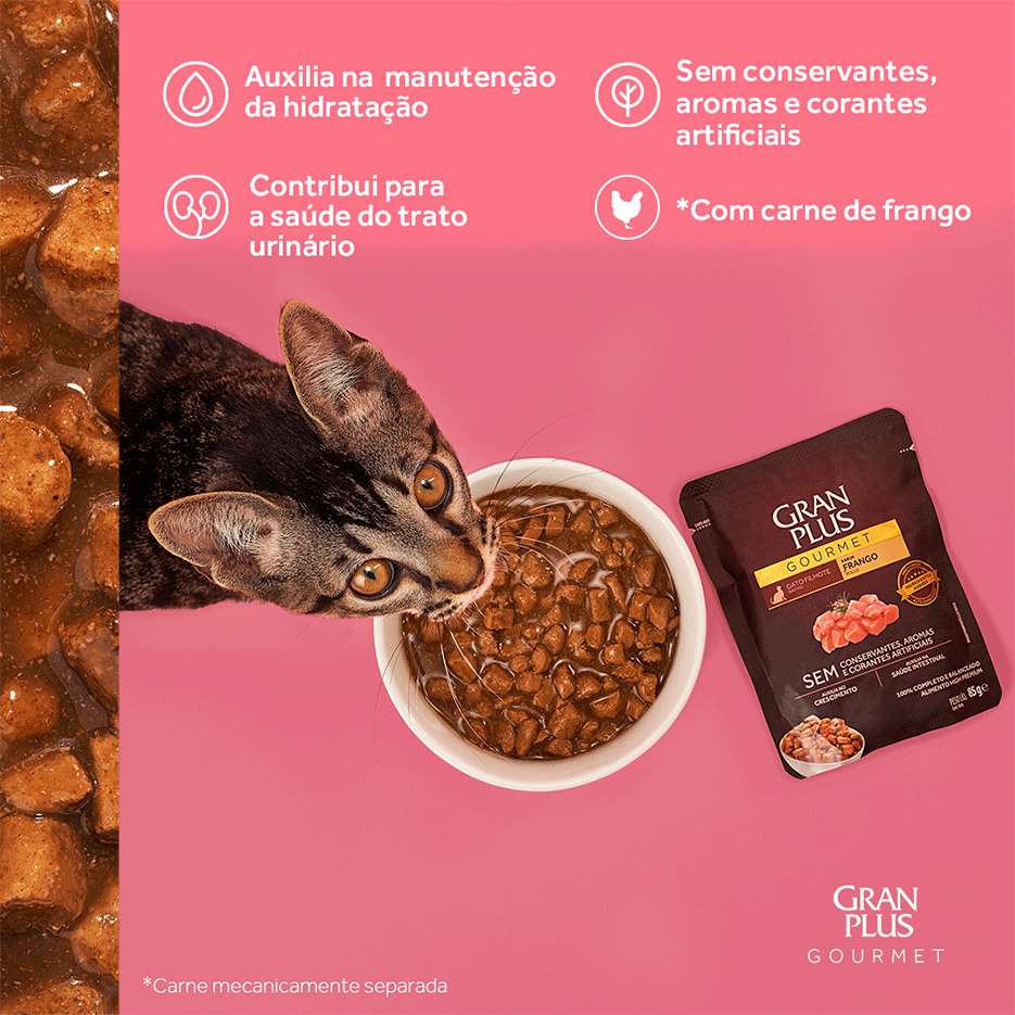 Ração Úmida GranPlus Sachê Gourmet Frango para Gatos Filhotes - 85 g