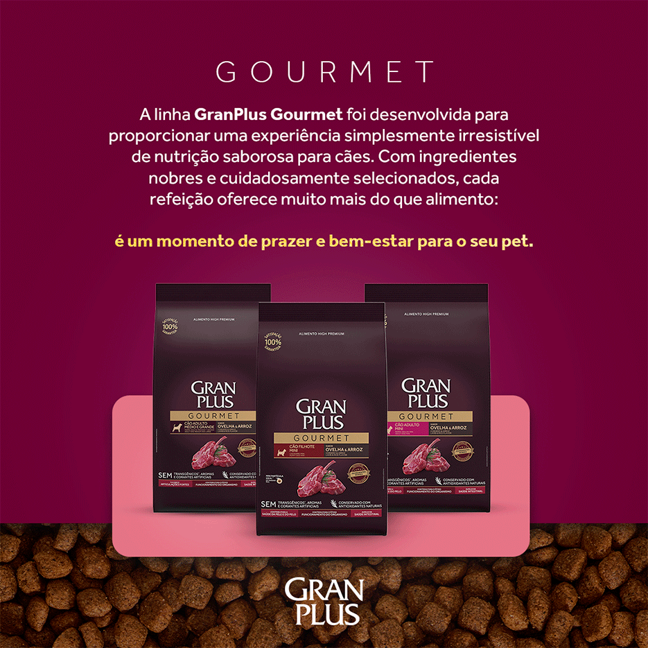 Ração Seca GranPlus Gourmet Salmão & Frango para Cães Adultos Raças Médias e Grandes - 10,1Kg