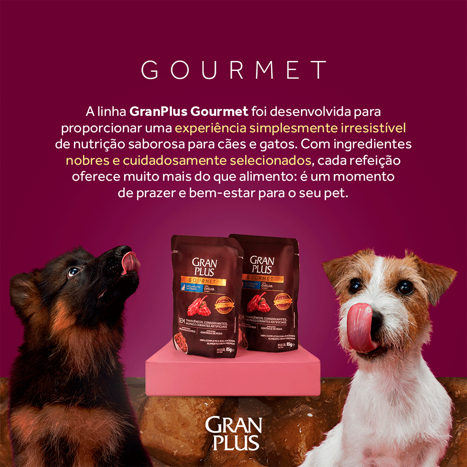 Ração Úmida GranPlus Gourmet Sachê Salmão & Frango para Cães Adultos - 100 g