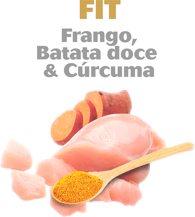 Bifinho Kadi Fit Sabor Frango, Batata Doce e Cúrcuma para Cães - 55g