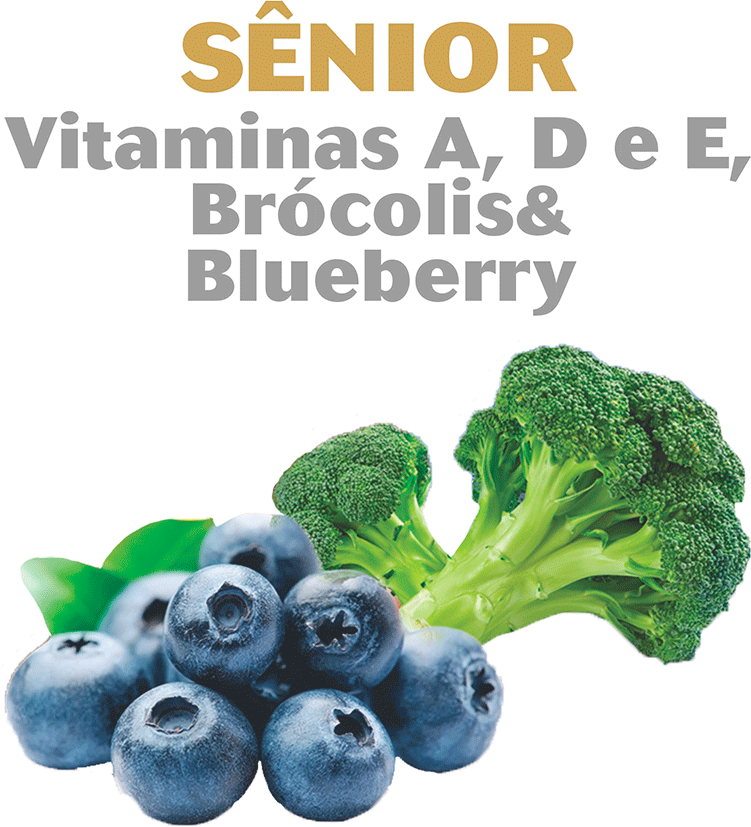 Bifinho Kadi Sênior Sabor Brócolis e Blue Berry para Cães Idosos - 55g