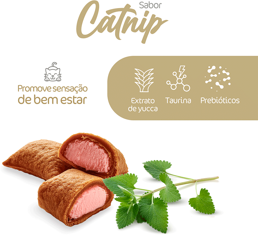 Snack Kadi Nuggets Sabor Catnip para Gatos - 40g