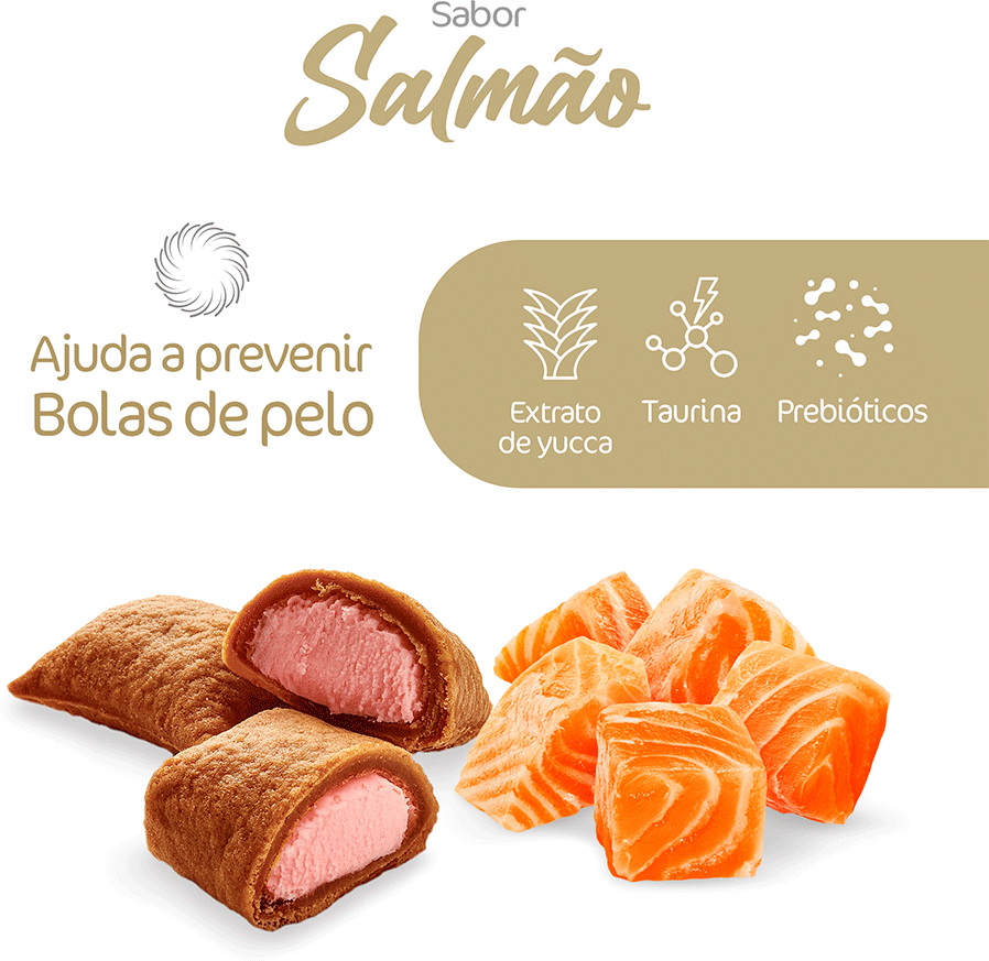 Snack Kadi Nuggets Sabor Salmão para Gatos - 40g