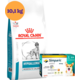 Kit Ração Royal Canin Veterinary Hypoallergenic Moderada para Cães Adultos 10,1 Kg e Antipulgas Simparic 40 mg - KIT