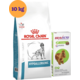 Kit Ração Royal Canin Canine Hypoallergenic 10kg para Cães Adultos e Antipulgas Bravecto 500mg para Cães 10-20kg - KIT