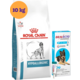 Kit Ração Royal Canin Canine Hypoallergenic 10kg para Cães Adultos e Antipulgas Bravecto 1000mg para Cães 20-40kg - KIT