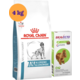 Kit Ração Royal Canin Anallergenic para Cães Adultos 4kg e Antipulgas Bravecto 10-20kg 500mg - KIT