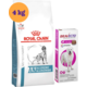 Kit Ração Royal Canin Anallergenic Cães Adultos 4kg e Antipulgas Bravecto Cães 40-56kg 1400mg - KIT
