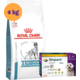 Kit Ração Royal Canin Anallergenic Cães Adultos 4kg e Antipulgas Simparic 10mg Cães 2,6 a 5kg - KIT