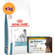 Kit Ração Royal Canin Anallergenic Cães Adultos 4kg e Antipulgas Simparic 120mg 40,1 a 60kg - KIT