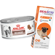 Kit Ração Royal Canin Veterinary Diet Recovery Lata 195 g + Antipulgas Bravecto 250mg Cães 4,5 a 10kg - KIT