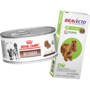 Kit Ração Royal Canin Veterinary Diet Recovery Lata 195g - Cães e Gatos + Antipulgas Bravecto 500mg 10-20kg - KIT
