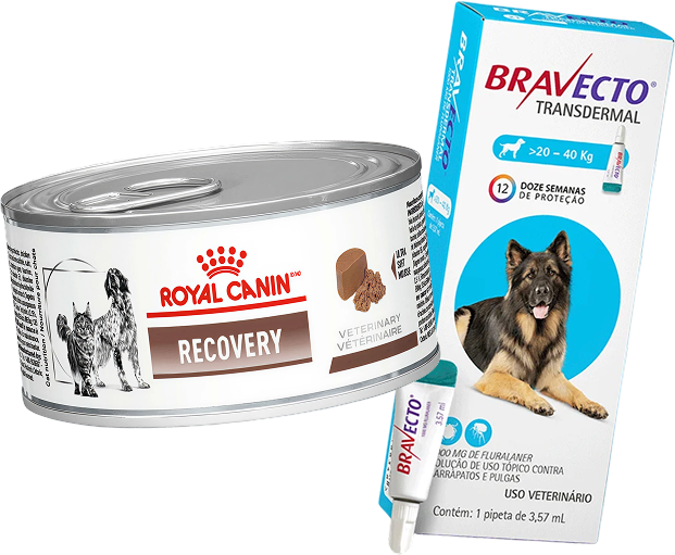 Kit Ração Royal Canin Veterinary Diet Recovery Lata 195g - Cães e Gatos + Antipulgas Bravecto 20-40kg 1000mg - KIT