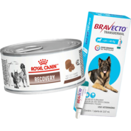 Kit Ração Royal Canin Veterinary Diet Recovery Lata 195g - Cães e Gatos + Antipulgas Bravecto 20-40kg 1000mg - KIT