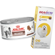Kit Ração Royal Canin Veterinary Diet Recovery Lata 195g + Antipulgas Bravecto 112,5mg Cães 2-4,5kg - KIT