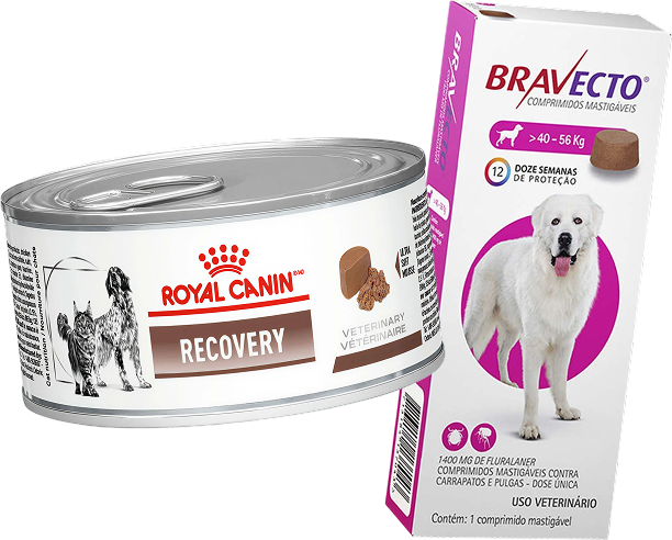 Kit Ração Royal Canin Veterinary Diet Recovery Lata 195g + Antipulgas Bravecto 1400mg Cães 40-56kg - KIT