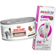 Kit Ração Royal Canin Veterinary Diet Recovery Lata 195g + Antipulgas Bravecto 1400mg Cães 40-56kg - KIT
