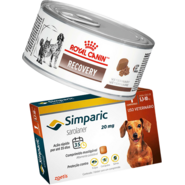 Kit Ração Royal Canin Veterinary Diet Recovery Lata 195g - Cães e Gatos + Antipulgas Simparic 20mg - 1 Comprimido - KIT