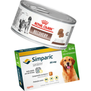 Kit Ração Royal Canin Veterinary Diet Recovery 195g - Cães e Gatos + Antipulgas Simparic 80mg para Cães - KIT