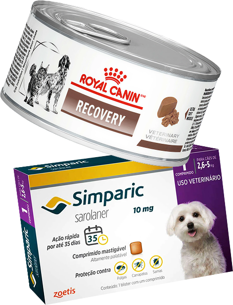Kit Ração Royal Canin Veterinary Diet Recovery 195g - Cães e Gatos + Antipulgas Simparic 10mg - Cães 2,6 a 5kg - KIT