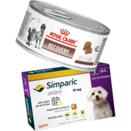 Kit Ração Royal Canin Veterinary Diet Recovery 195g - Cães e Gatos + Antipulgas Simparic 10mg - Cães 2,6 a 5kg - KIT
