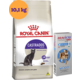 Kit Ração Royal Canin Sterilised Gatos Adultos 10,1 Kg e Antipulgas Bravecto Transdermal Gatos 1 Pipeta - KIT