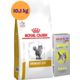 Kit Ração Royal Canin Urinary S/O para Gatos 10,1 Kg e Antipulgas Bravecto Transdermal Plus 1 Pipeta - KIT