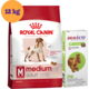 Kit Ração Royal Canin Medium Adult Cães 12kg e Antipulgas Bravecto 10-20kg 500mg - KIT