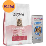 Kit Ração Royal Canin Premium para Gatos Adultos Castrados 10,1kg e Antipulgas Bravecto 1 Pipeta - KIT