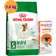 Kit Ração Royal Canin Mini Adult 7,5kg + Antipulgas Bravecto 250mg para Cães 4,5 a 10kg - KIT