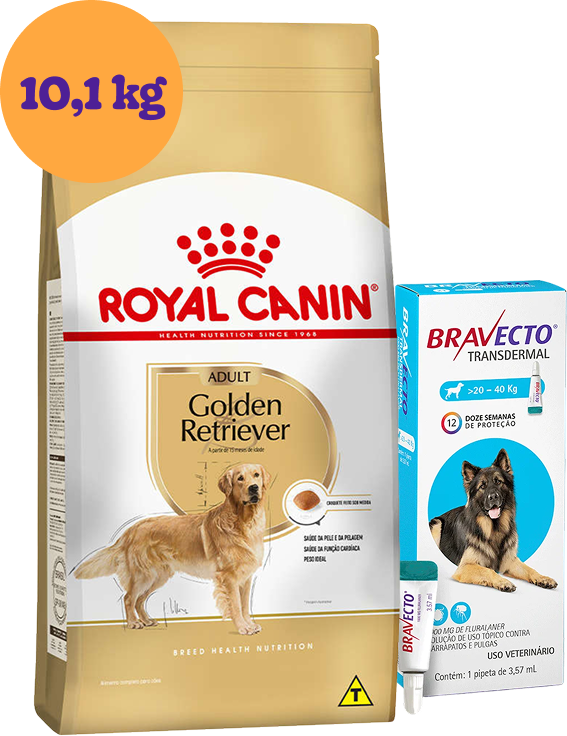 Kit Ração Royal Canin Golden Retriever Adulto 10,1Kg e Antipulgas Bravecto Cães 20-40Kg 1000 mg KIT - KIT