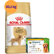 Kit Ração Royal Canin Golden Retriever Adulto 10,1Kg e Antipulgas Simparic 80 mg para Cães 20,1 a 40Kg - KIT