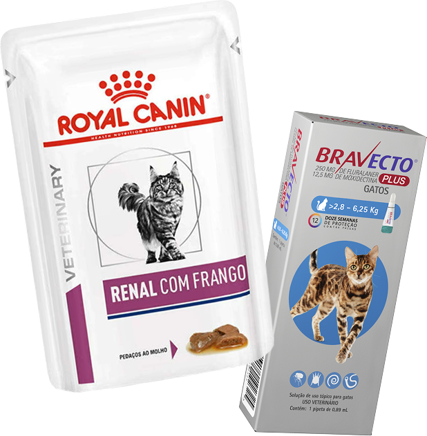 Kit Ração Royal Canin Renal Frango para Gatos - 85g e Antipulgas Bravecto Transdermal Plus - 1 Pipeta - KIT