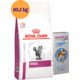 Kit Ração Royal Canin Renal para Gatos 10,1 Kg e Antipulgas Bravecto para Gatos 2,8 a 6,25 Kg - KIT