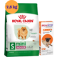 Kit Ração Royal Canin Mini Indoor Cães Adultos 7,5 Kg e Antipulgas Bravecto 250 mg - KIT