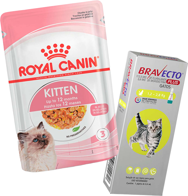 Kit Ração Royal Canin Sachê Feline Kitten para Gatos Filhotes 85g e Antipulgas Bravecto para Gatos 1,2-2,8kg - KIT
