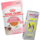 Kit Ração Royal Canin Sachê Feline Kitten para Gatos Filhotes 85g e Antipulgas Bravecto para Gatos 1,2-2,8kg - KIT