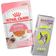 Kit Ração Royal Canin Sachê Feline Kitten para Gatos Filhotes 85g e Antipulgas Bravecto para Gatos 1,2-2,8kg - KIT