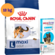 Kit Ração Royal Canin Maxi Adult Cães Grandes 12kg e Antipulgas Bravecto Cães 20-40kg 1000mg - KIT